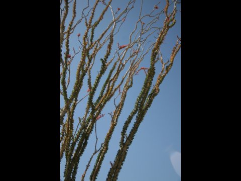 p_0013